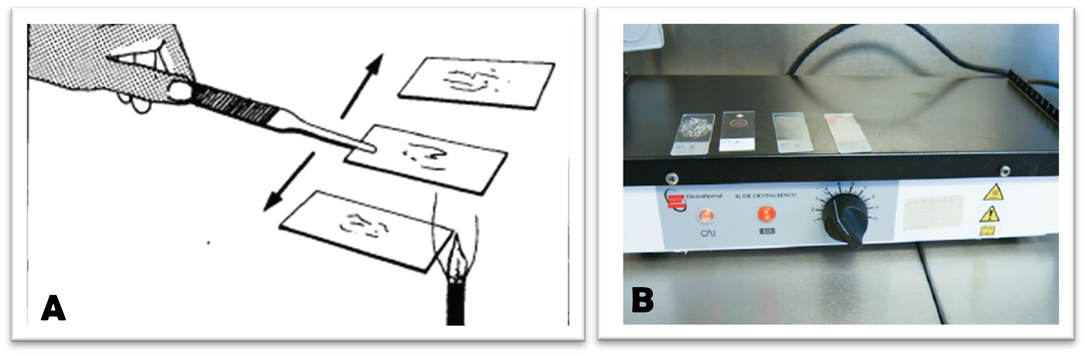 Heat fixation methods