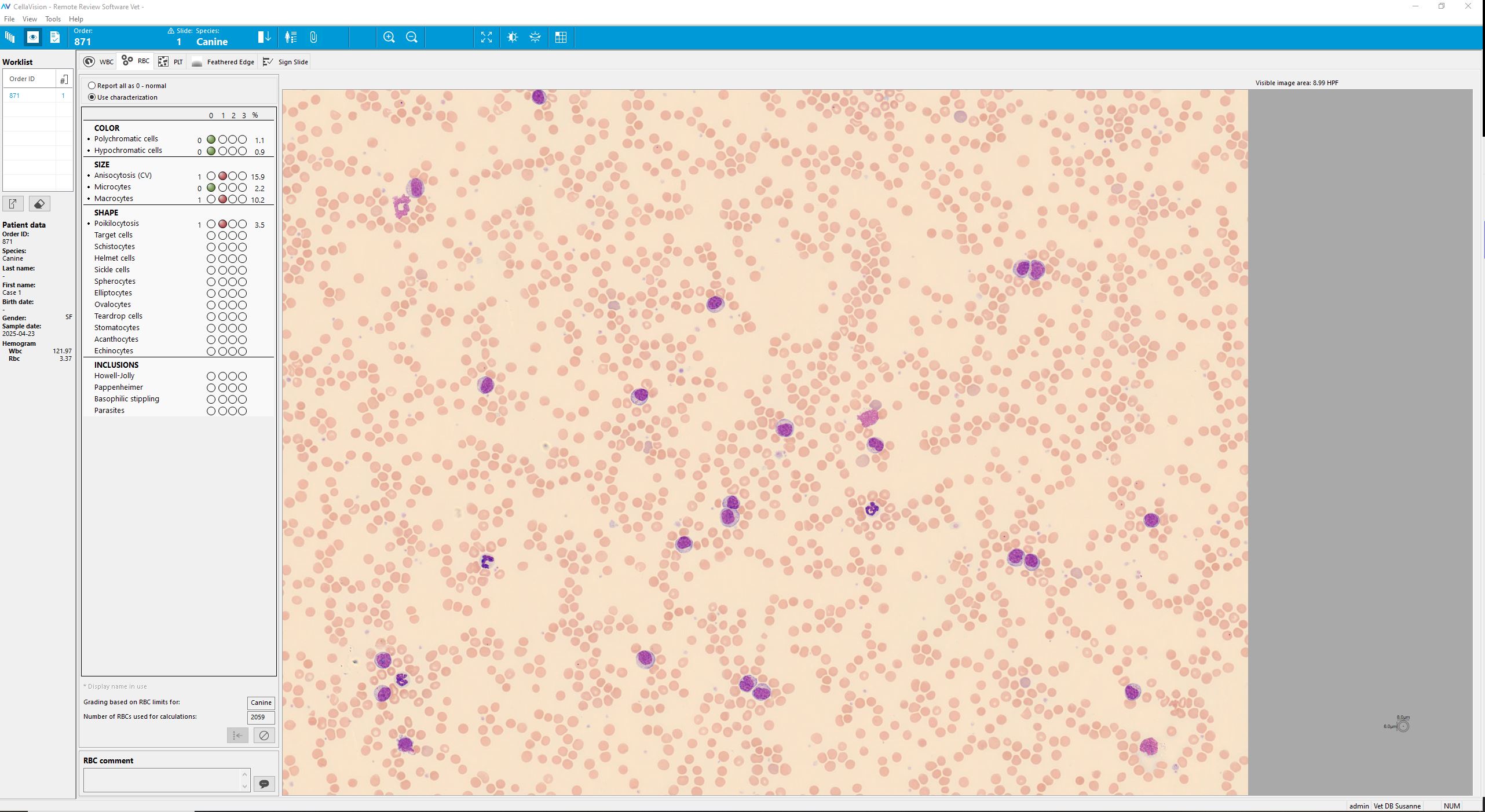 Overview RBC Monthly Cell Challenge November 2025