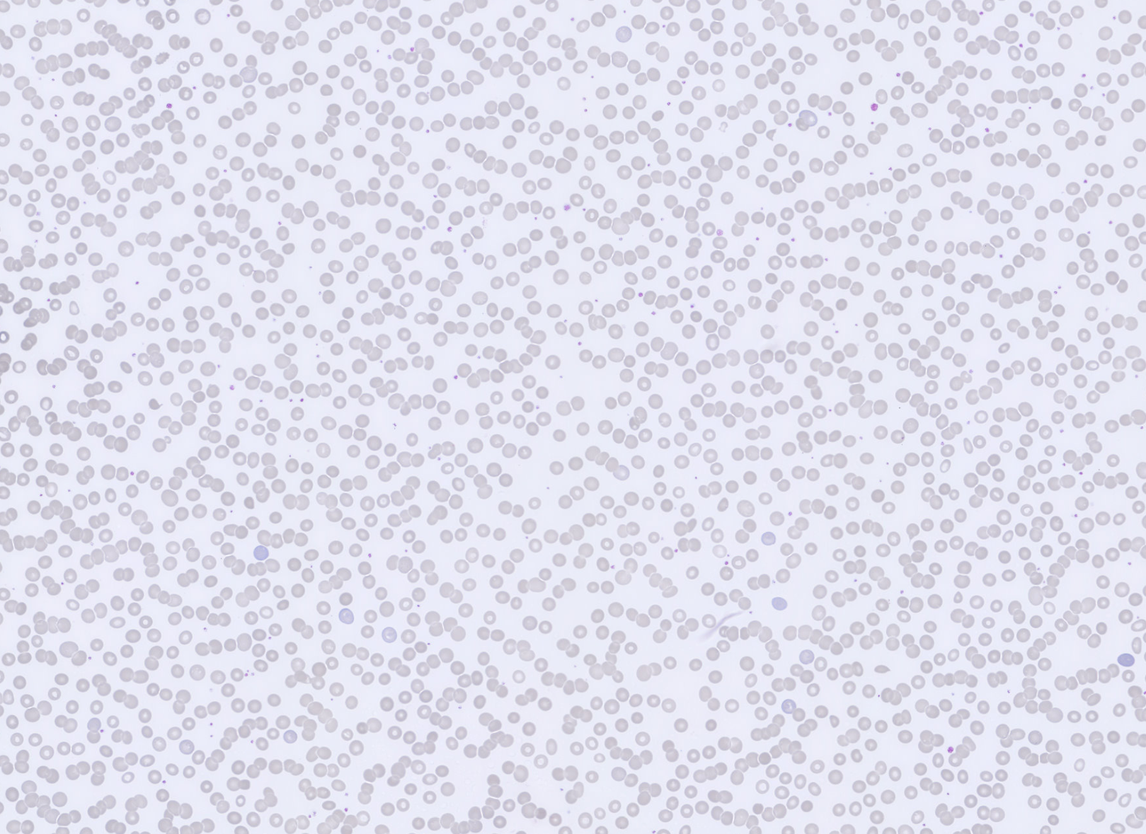 Monthly Cell Challenge #3 2026 RBC overview