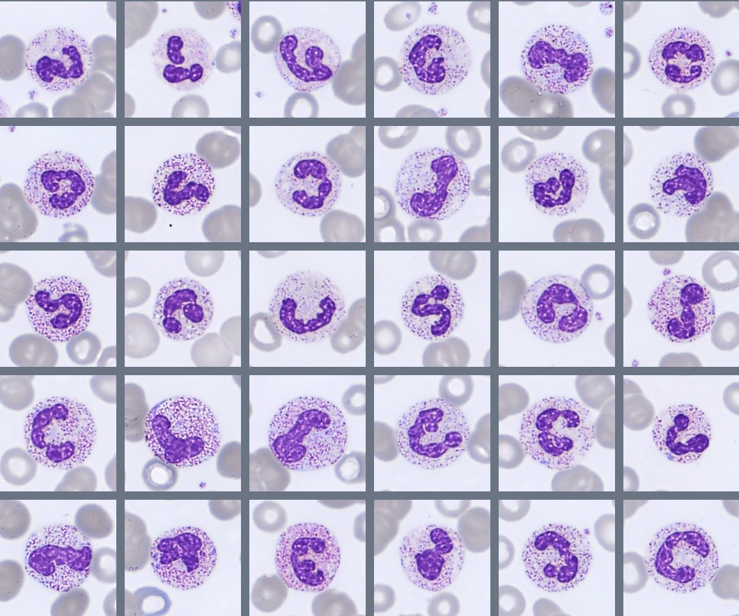 Monthly Cell Challenge #3 2026