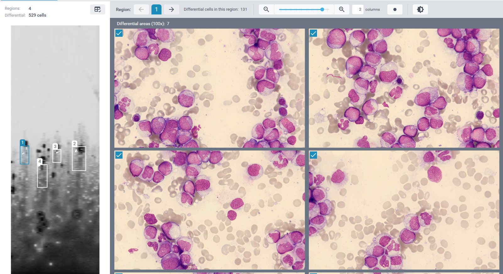 BMA Monthly cell challenge April 2026