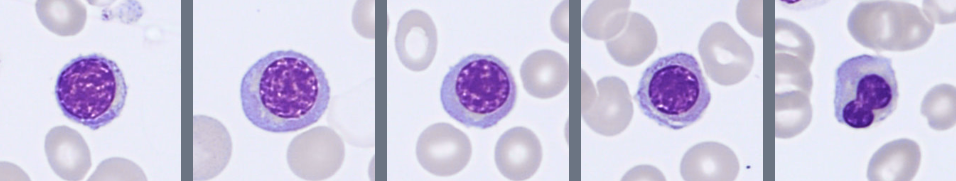 NRBC Monthly Cell Challenge April 2026