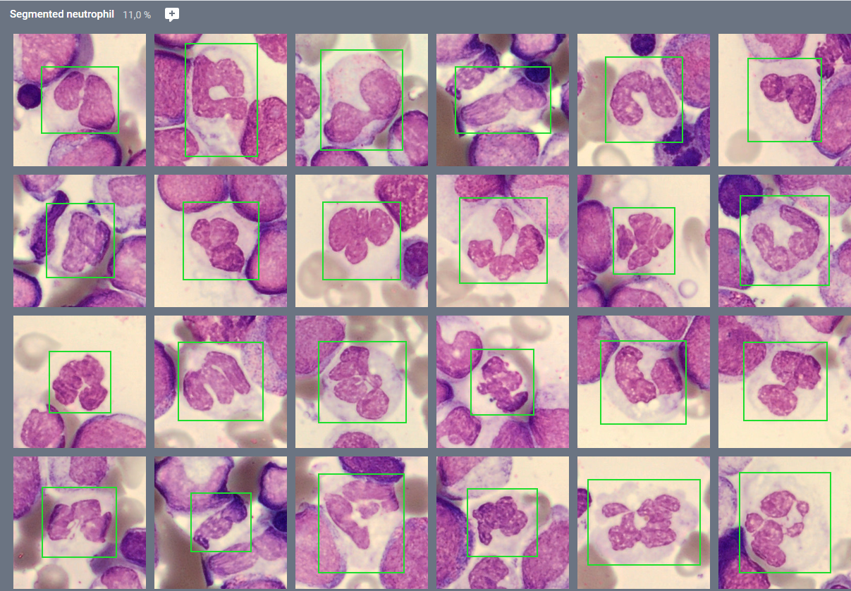 BMA Monthly Cell Challenge April 2026