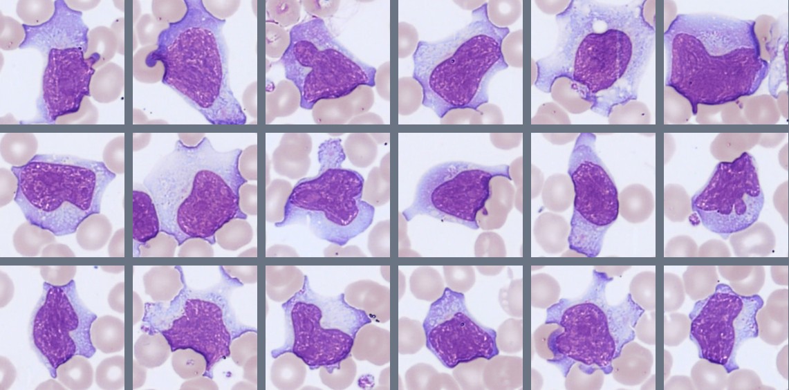 Cells Monthly Cell Challenge 07_2026