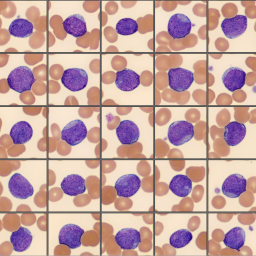 Blasts from the monthly cell challenge June 2025