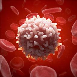 red cell