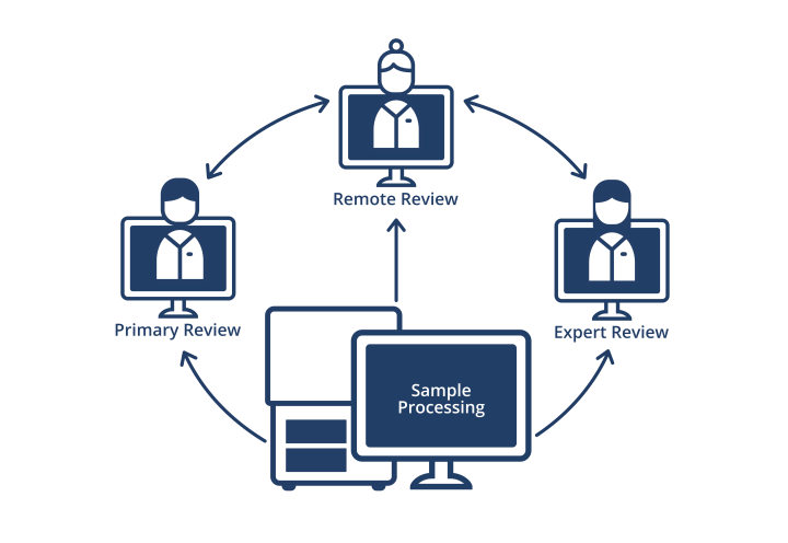 Remote review