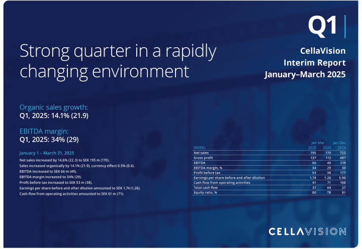 Interim Report for the First quarter 2025