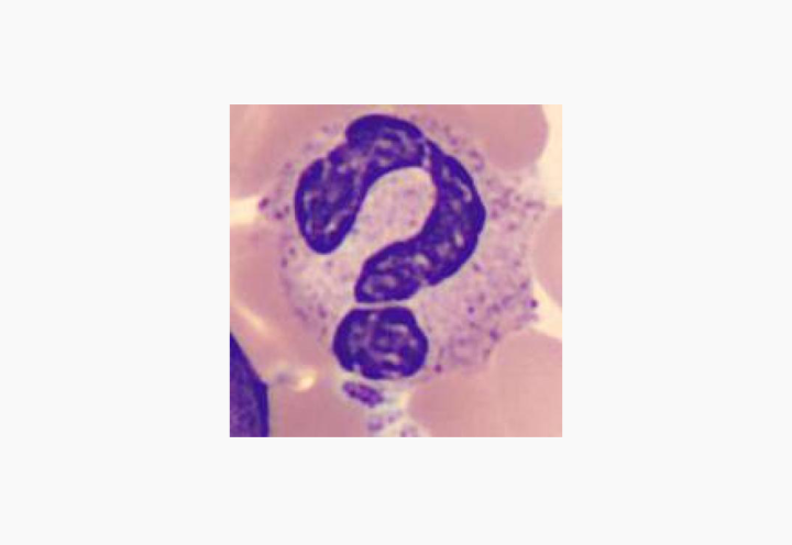 Blood Quiz