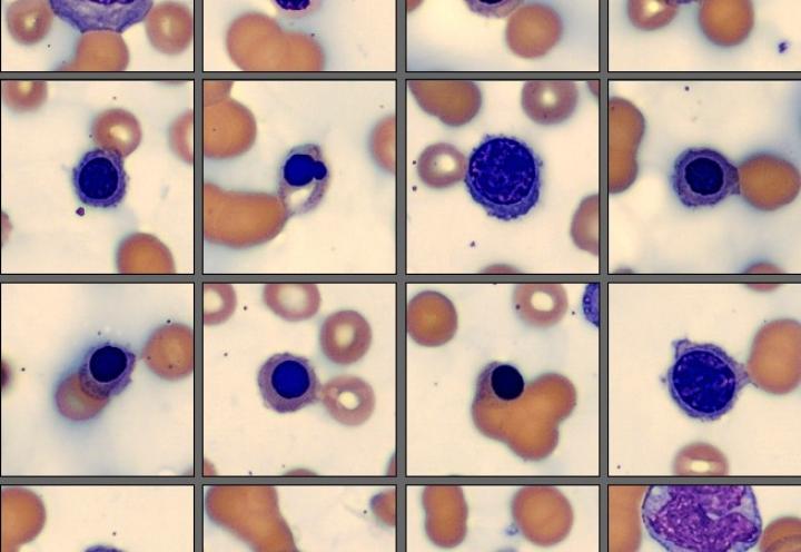 NRBC Monthly Cell Challenge September 2025
