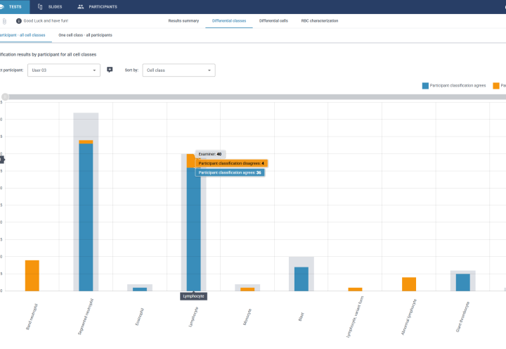 Auto Generated reports