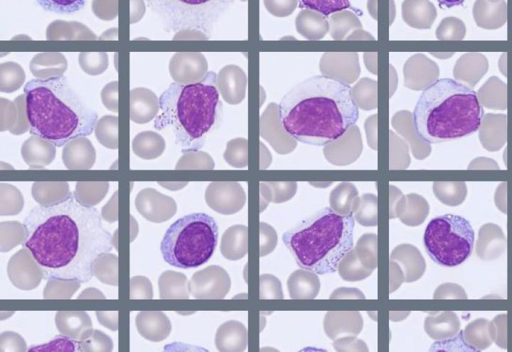 Digital blood cell images