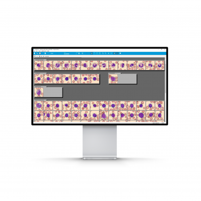 PBA Software