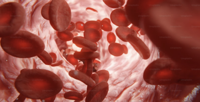 Blood cell encyclopedia
