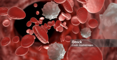 Blood cells