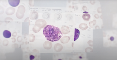 Pre-clasification of cells