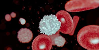 Blood cells 3