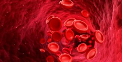 Blood cells 2