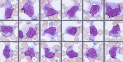 Cells Monthly Cell Challenge 07_2026